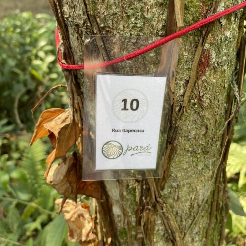 img-portfolio-2 img-portfolio-2