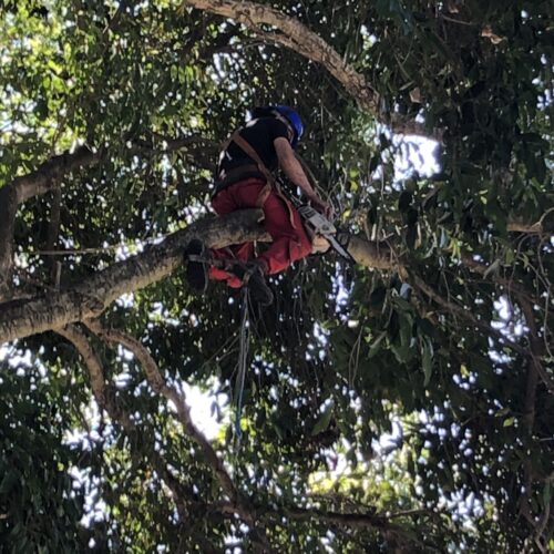 img-portfolio-4 img-portfolio-4