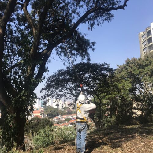 img-portfolio-6 img-portfolio-6