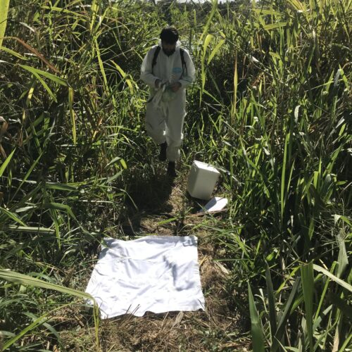 img-portfolio-8 img-portfolio-8